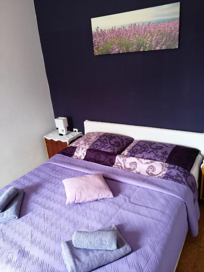 Apartmani Milka ปาโกชตาเน ภายนอก รูปภาพ